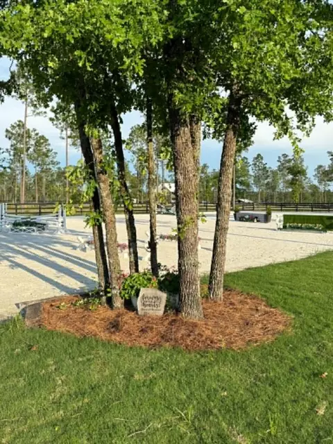 Exterior - 8285 Covert Dr, Aiken, SC 29803 photo 24 of 28