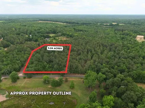 0 Lot 3 Holiness Church Rd, Wagener, SC 29164