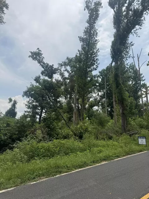 tbd Mccreight Rd, Johnston, SC 29832 photo 2