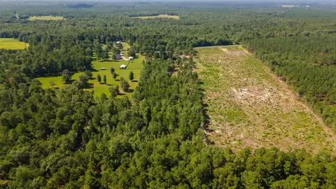 View/Area - 232 Colbert Bridge Rd, Windsor, SC 29856 photo 8 of 9