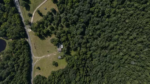 View/Area - Undisclosed, Ridge Spring, SC 29129 photo 3 of 3
