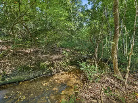 Exterior - Undisclosed, Ridge Spring, SC 29129 photo 12 of 12