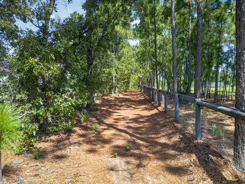 Other - 9024 Rainbow Ridge Cir, Windsor, SC 29856 photo 16 of 16