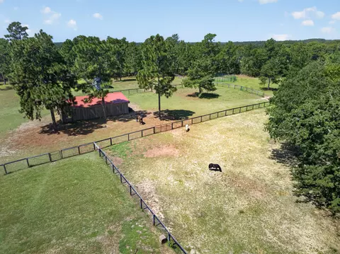 View/Area - 9024 Rainbow Ridge Cir, Windsor, SC 29856 photo 3 of 16