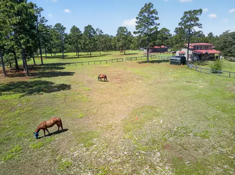 View/Area - 9024 Rainbow Ridge Cir, Windsor, SC 29856 photo 10 of 16