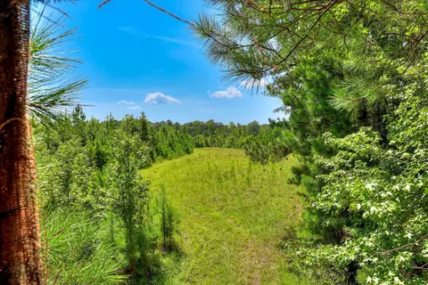 170 Landing Rd, Jackson, SC 29831 photo 26