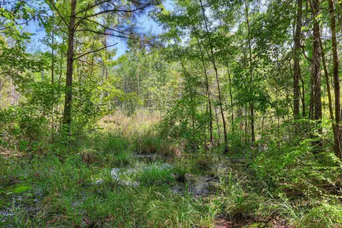 170 Landing Rd, Jackson, SC 29831 photo 37