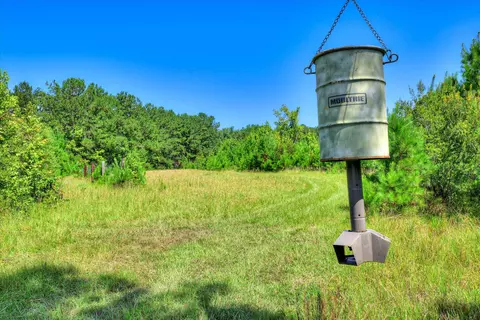 170 Landing Rd, Jackson, SC 29831 photo 19