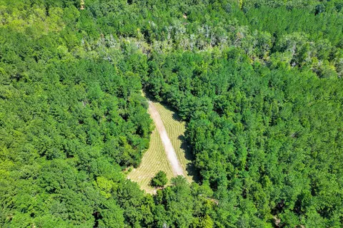 170 Landing Rd, Jackson, SC 29831 photo 68