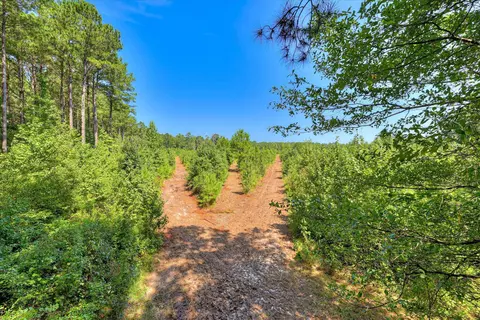170 Landing Rd, Jackson, SC 29831 photo 16