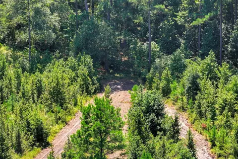 170 Landing Rd, Jackson, SC 29831 photo 58