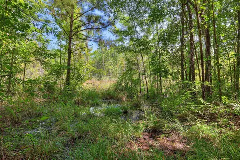 170 Landing Rd, Jackson, SC 29831 photo 38