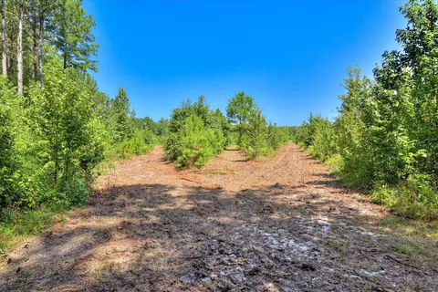 170 Landing Rd, Jackson, SC 29831 photo 15