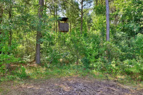 170 Landing Rd, Jackson, SC 29831 photo 14