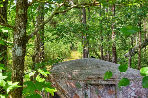 170 Landing Rd, Jackson, SC 29831 photo 22