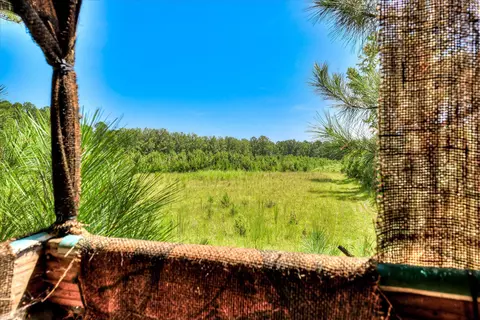 170 Landing Rd, Jackson, SC 29831 photo 27