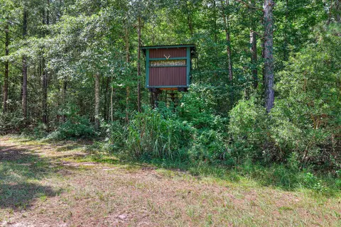 170 Landing Rd, Jackson, SC 29831 photo 32