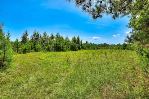 170 Landing Rd, Jackson, SC 29831 photo 24