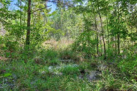 170 Landing Rd, Jackson, SC 29831 photo 39