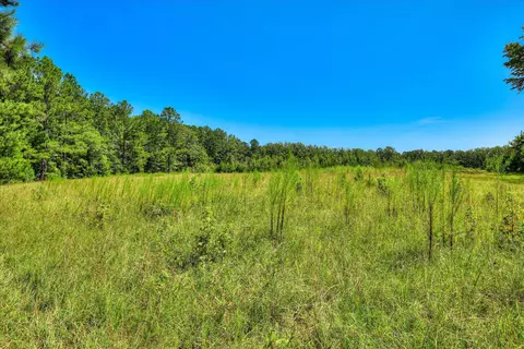 170 Landing Rd, Jackson, SC 29831 photo 25