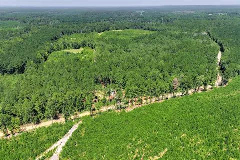 170 Landing Rd, Jackson, SC 29831 photo 72