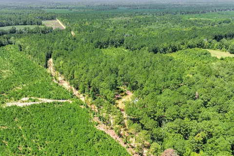 170 Landing Rd, Jackson, SC 29831 photo 43
