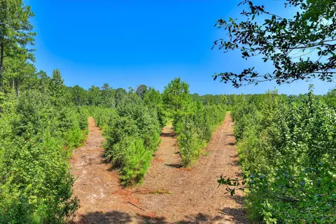170 Landing Rd, Jackson, SC 29831 photo 17