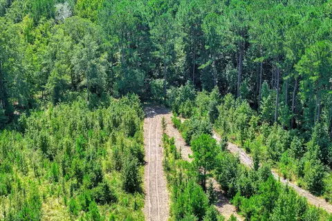 170 Landing Rd, Jackson, SC 29831 photo 56
