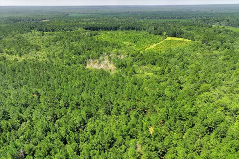 170 Landing Rd, Jackson, SC 29831 photo 70