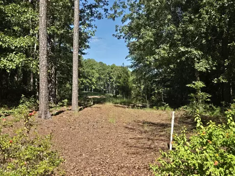 Exterior - 111 Long Shadow Dr, Aiken, SC 29803 photo 3 of 3