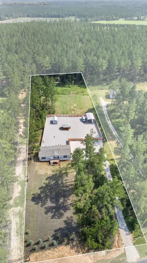View/Area - 824 White Pond Rd, Williston, SC 29853 photo 3 of 5