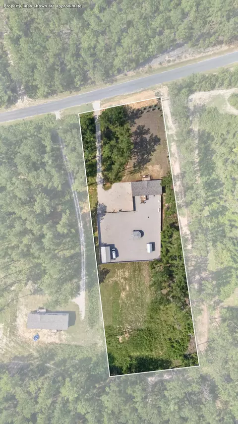 View/Area - 824 White Pond Rd, Williston, SC 29853 photo 1 of 5