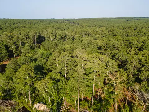 tbd Edisto Lake Rd #39, Wagener, SC 29164