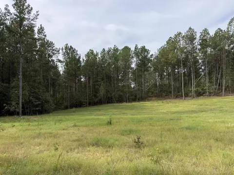 tbd New Holland Rd, Wagener, SC 29164