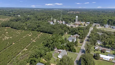 View/Area - 210 Dubose St, Ridge Spring, SC 29129 photo 1 of 1