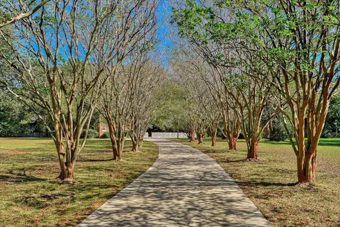 Other - 5700 Springfield Rd, Williston, SC 29853 photo 1 of 7