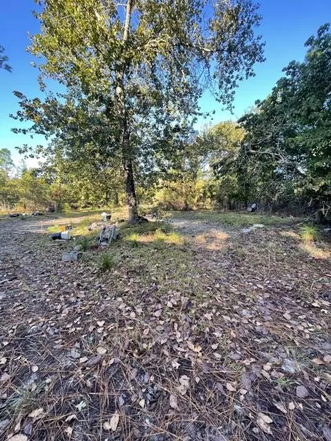 5038 Aggravashun Cir, Wagener, SC 29164