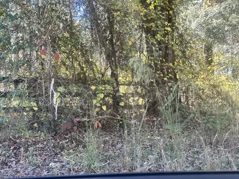 Parcel A Warbonnet Road, Springfield, SC 29146 photo 4
