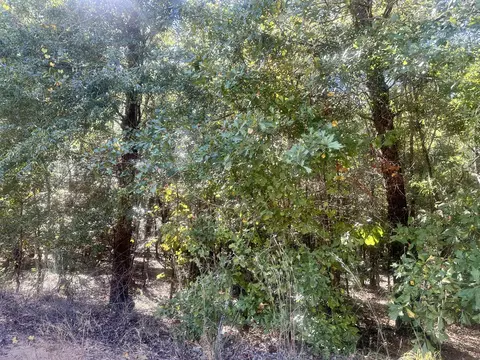 Parcel A Warbonnet Road, Springfield, SC 29146 photo 2
