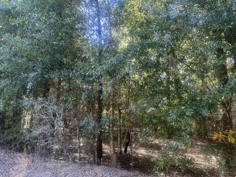 Parcel A Warbonnet Road, Springfield, SC 29146 photo 3