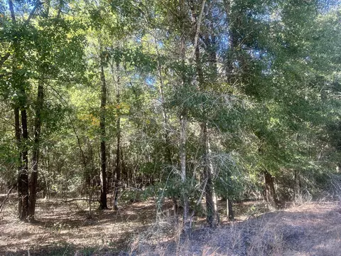 Parcel B Warbonnet Road, Springfield, SC 29146 photo 2