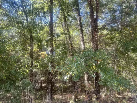Parcel B Warbonnet Road, Springfield, SC 29146 photo 4