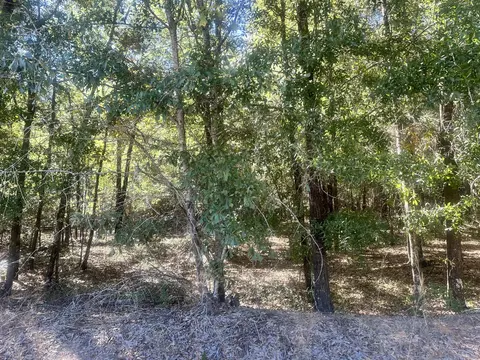 Parcel B Warbonnet Road, Springfield, SC 29146