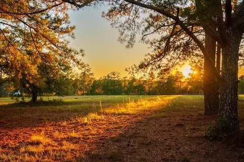 lot48 Grand Prix Dr, Beech Island, SC 29842