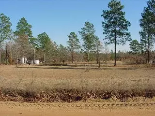 232 Redbone Ct, Williston, SC 29853 photo 1