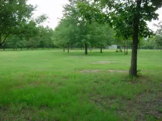 669 Veterans Rd, Springfield, SC 29146 photo 1