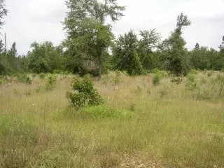 20 22 Fairwind Rd, Windsor, SC 29856 photo 1