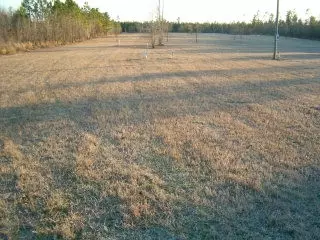 230 Pine Acres Rd, Windsor, SC 29853 photo 1