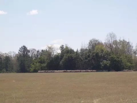 225 Lunar Ln, Williston, SC 29853 photo 1