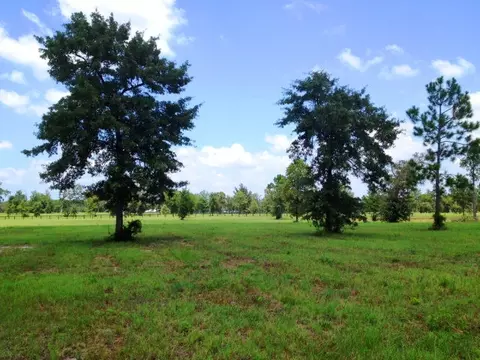 501 Spring Branch Rd, Windsor, SC 29856 photo 1